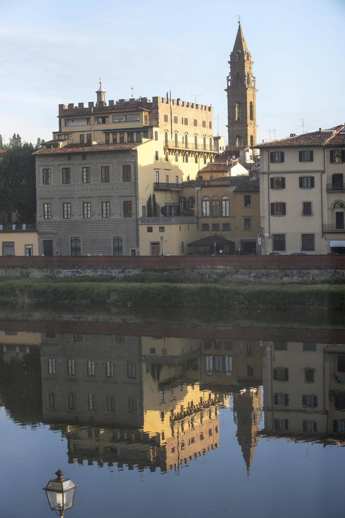 Leone Blu | Esperienze Florencia