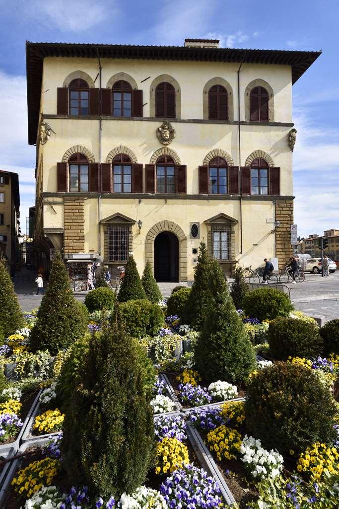 Leone Blu | Esperienze Florencia